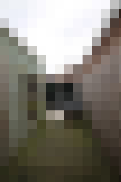  / #17