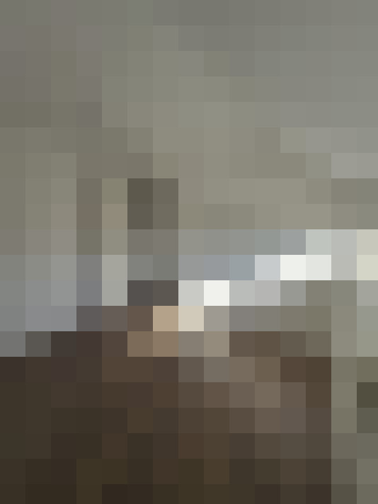  / #15