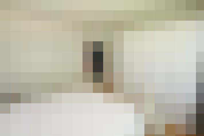  / #16