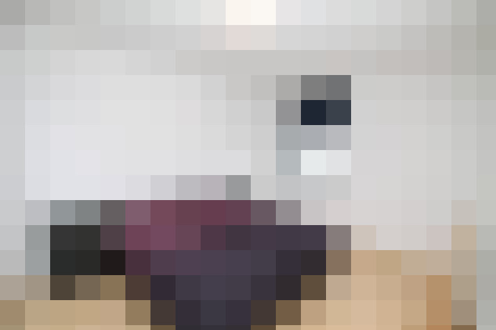  / #14