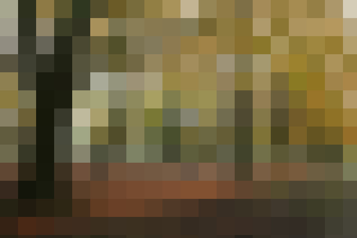  / #17
