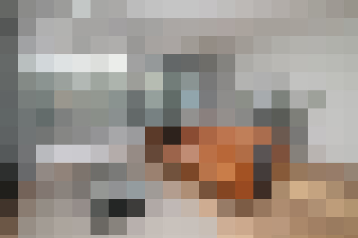  / #8