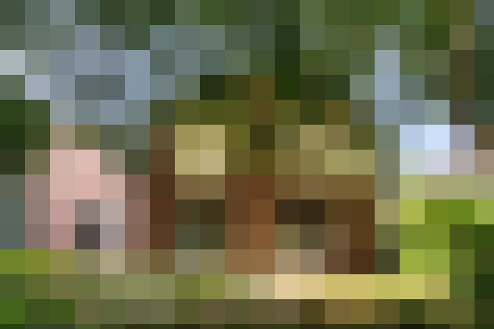  / #16