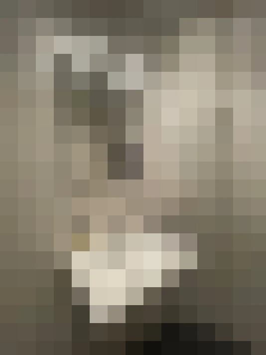  / #15
