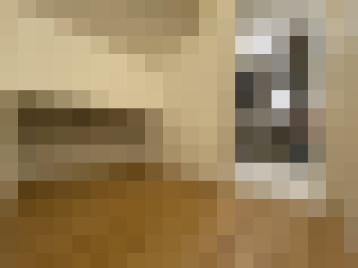  / #23