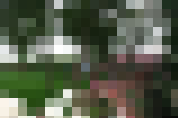  / #17