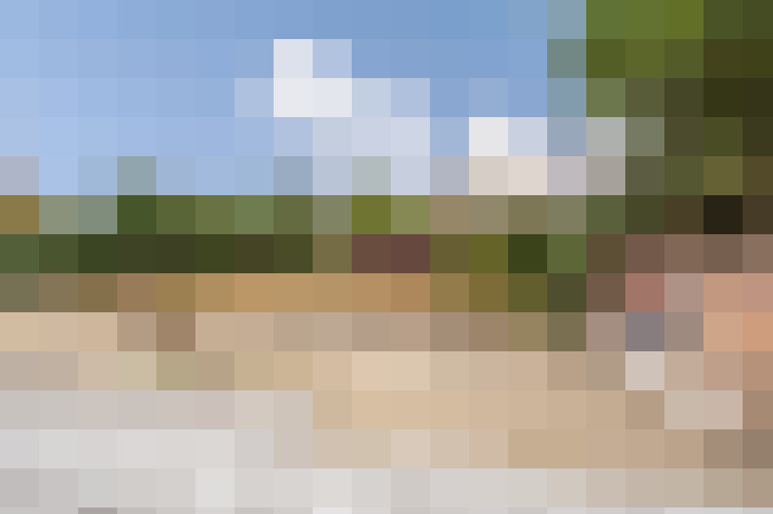  / #20