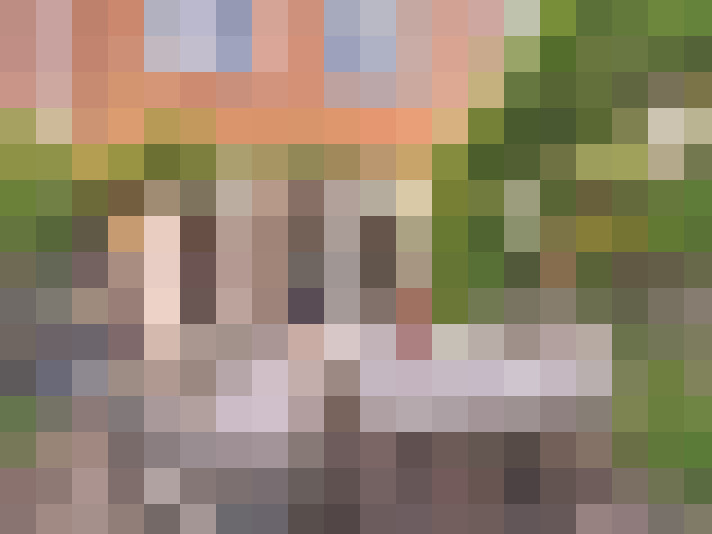  / #17