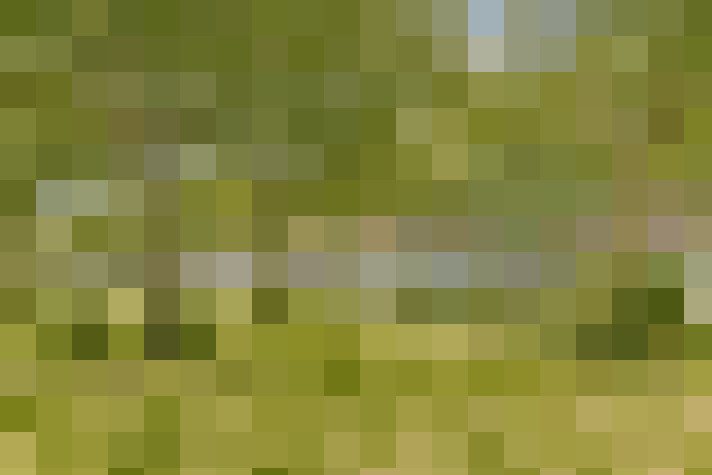  / #20