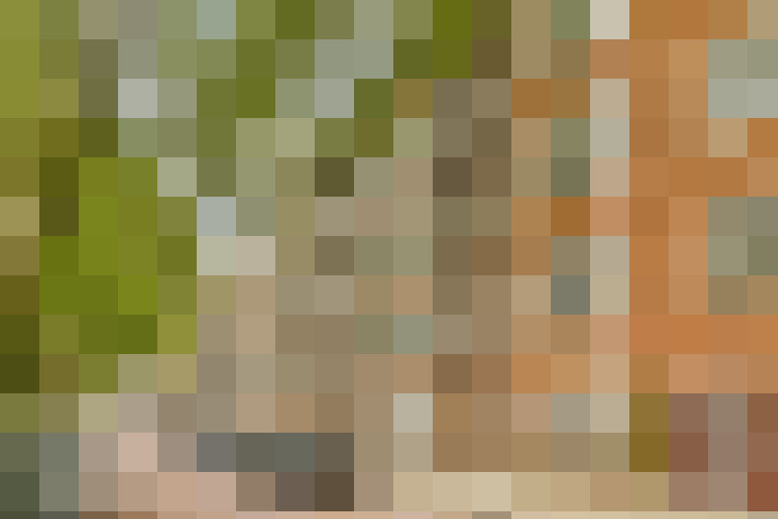  / #16