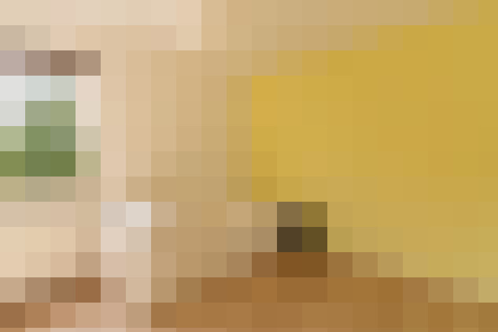  / #19