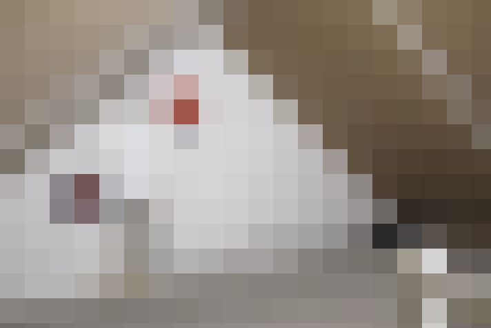  / #12