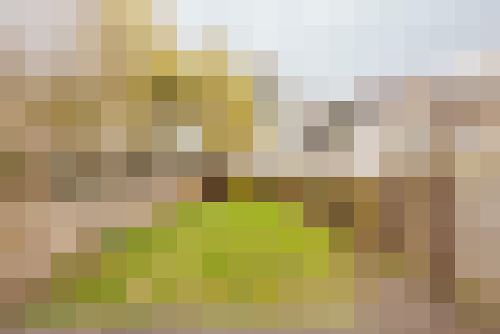  / #20