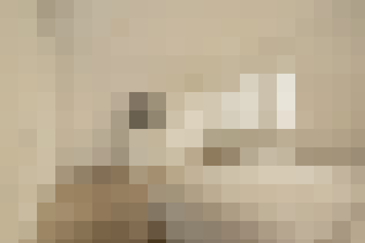  / #19