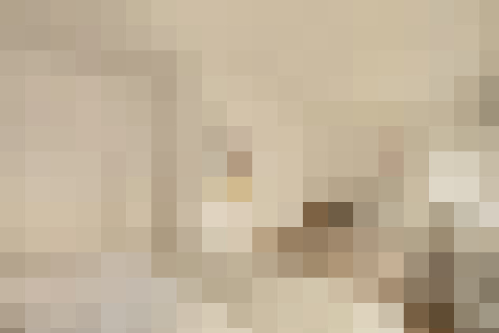  / #24