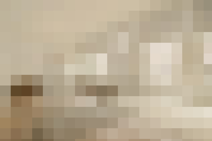  / #23