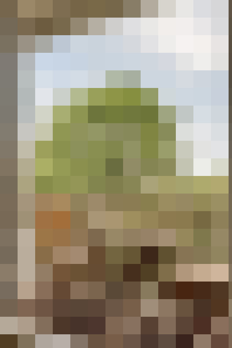  / #19