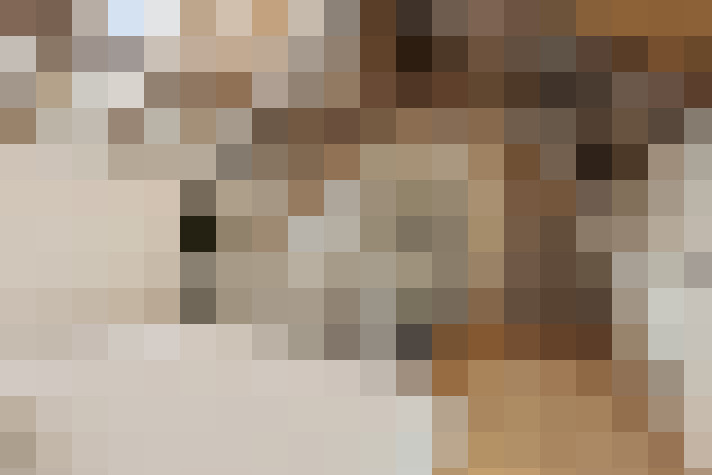  / #13