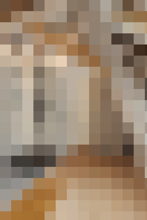  / #16