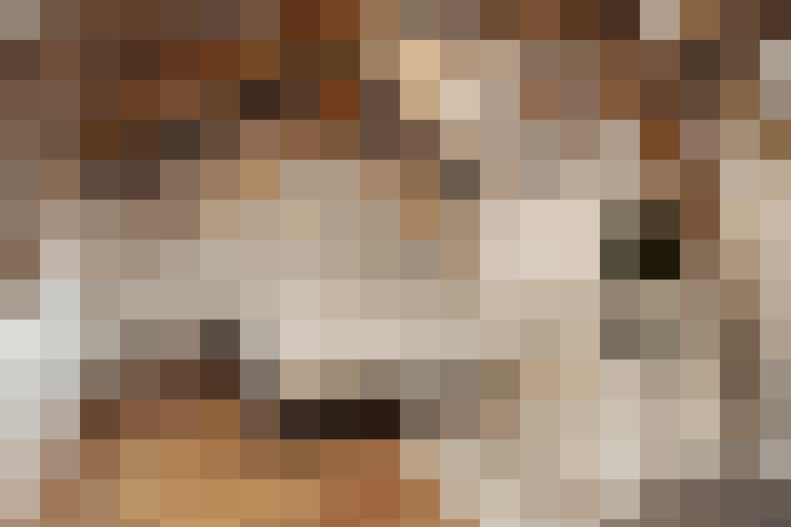  / #14