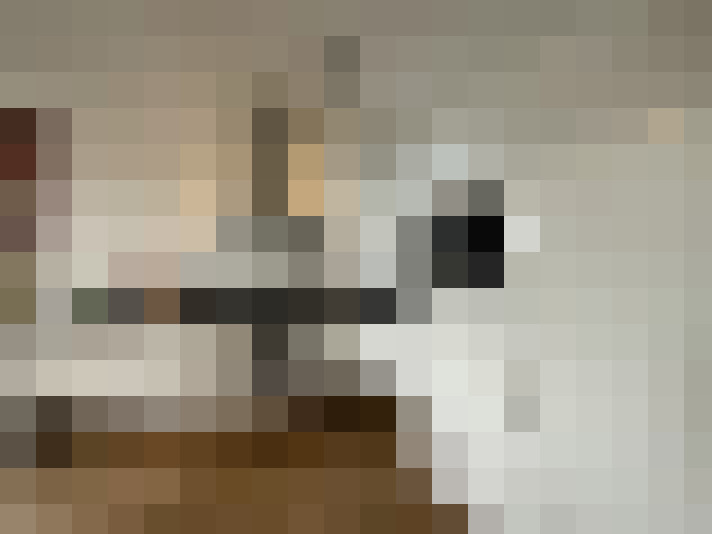  / #8