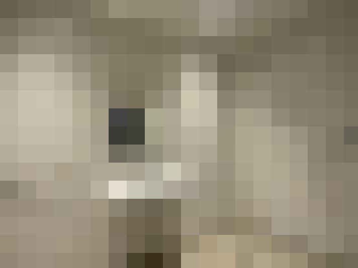  / #15