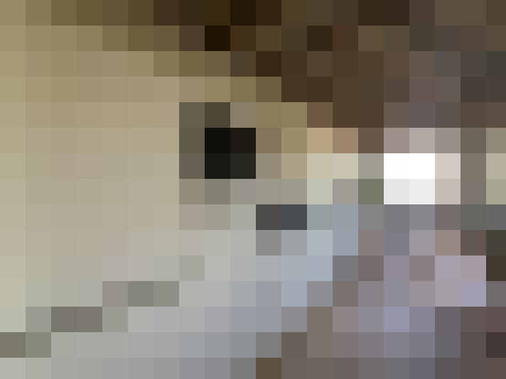  / #8