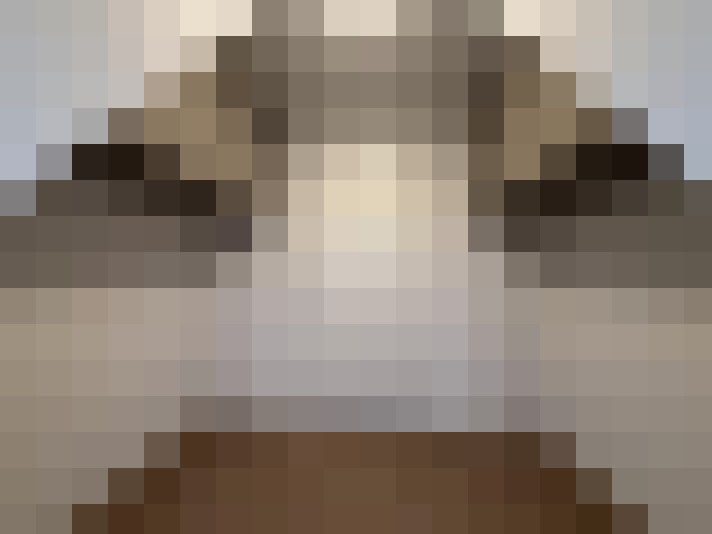  / #17