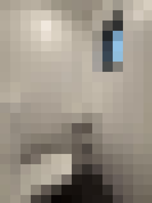  / #10