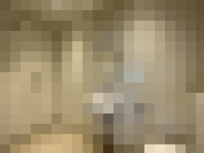  / #15