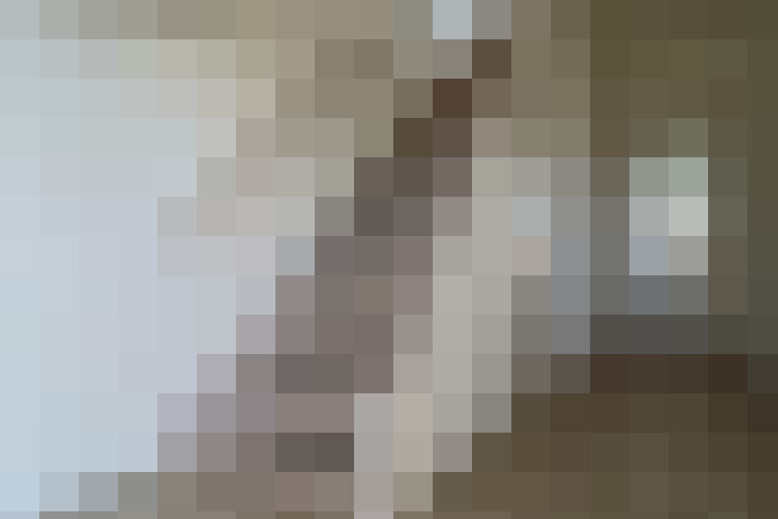  / #15