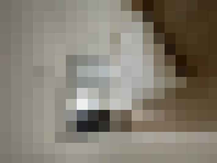  / #16