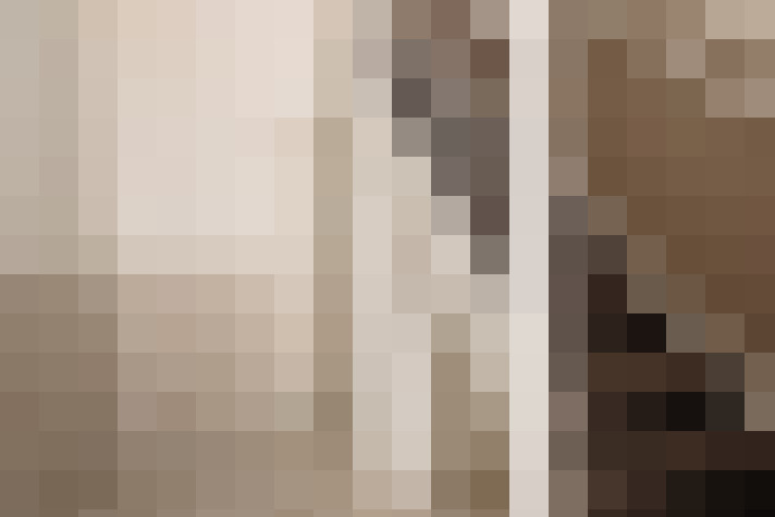  / #19