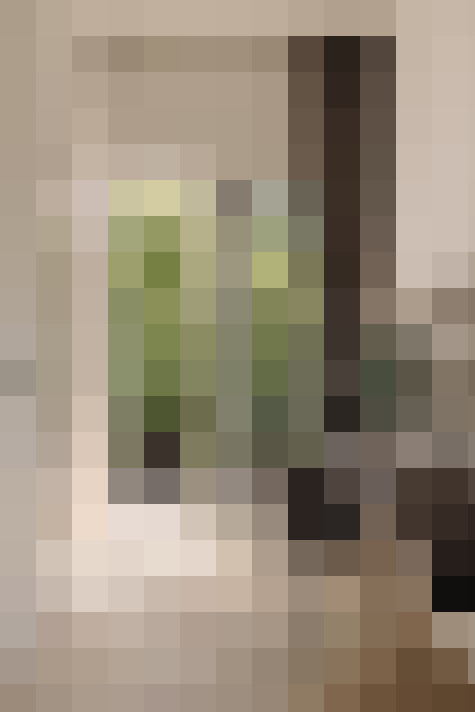  / #13