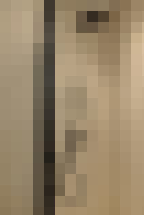  / #21