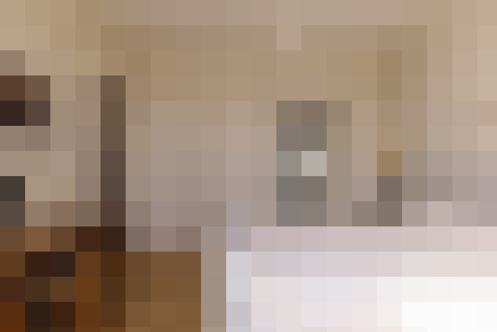  / #24