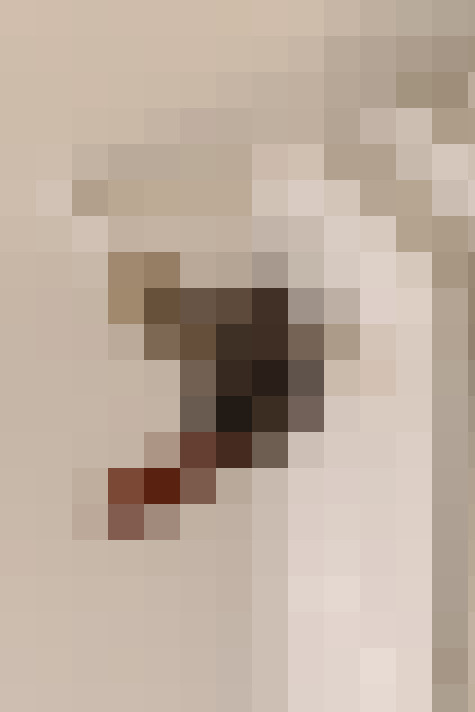  / #20