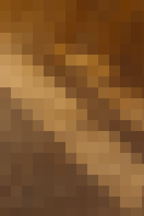  / #19
