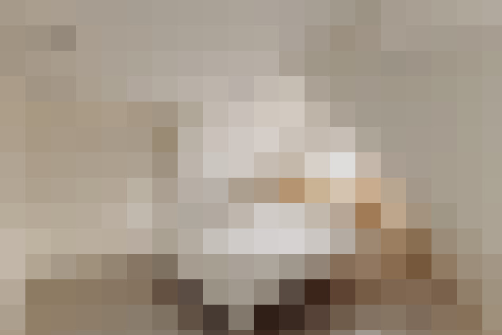  / #19