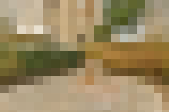  / #18