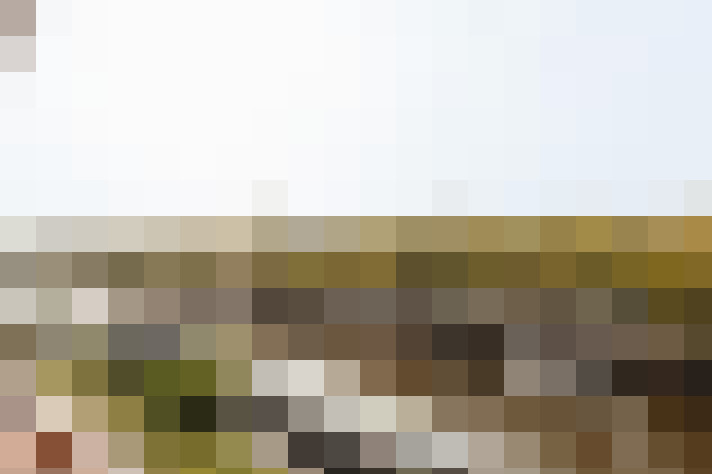  / #18