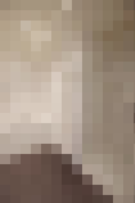  / #17