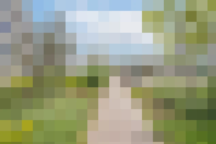  / #14