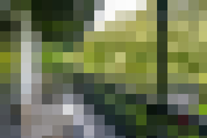  / #16