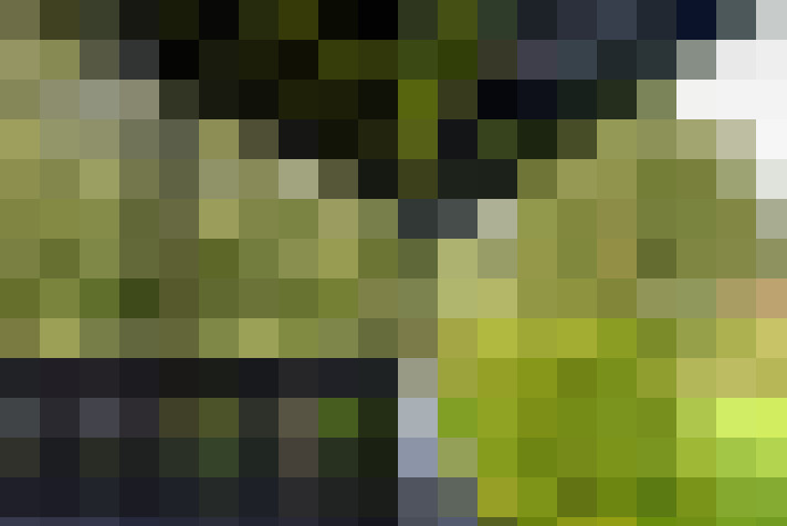  / #17
