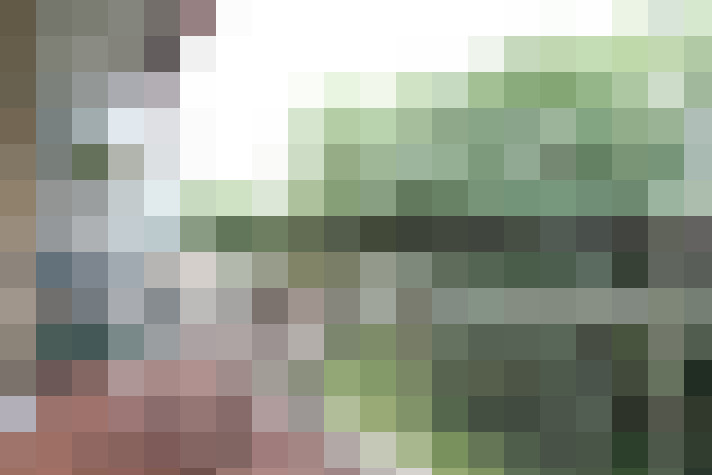  / #17