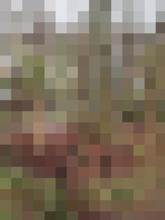  / #14