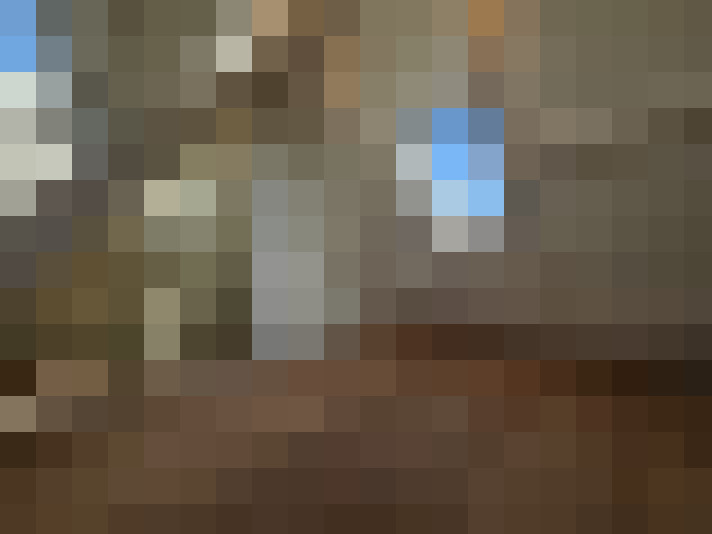  / #21