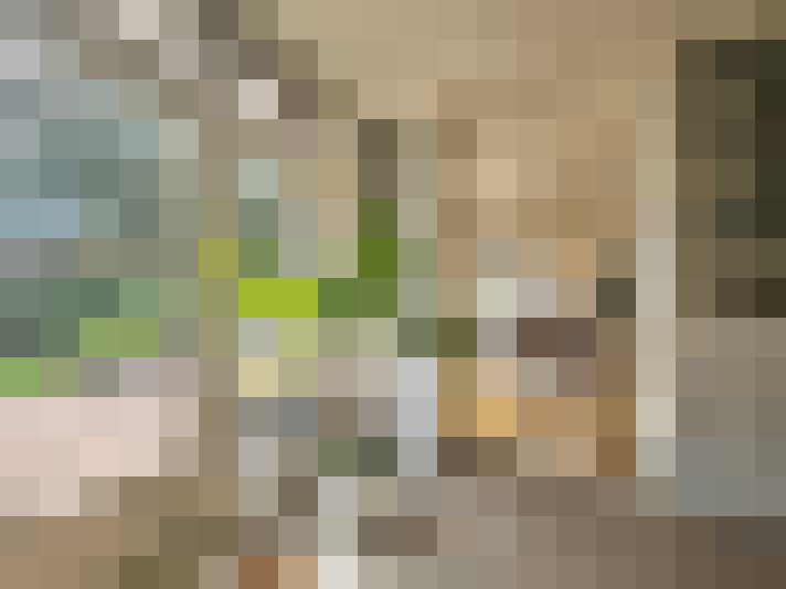  / #15