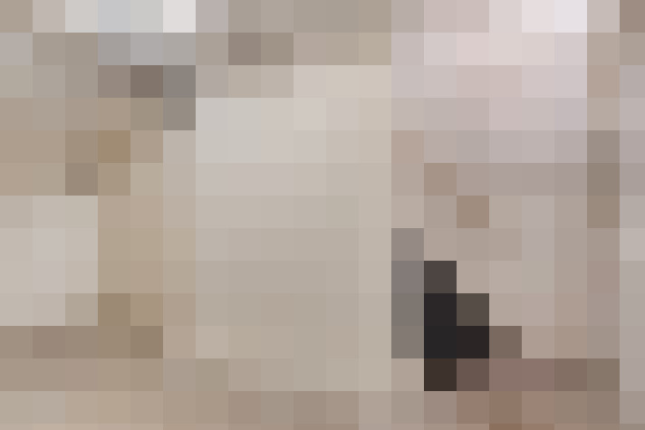  / #19